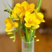 ヒメ日記 2026/03/06 07:08 投稿 ユキネ バニーコレクション秋田店