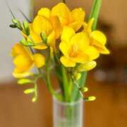 ヒメ日記 2026/03/06 07:18 投稿 ユキネ バニーコレクション秋田店