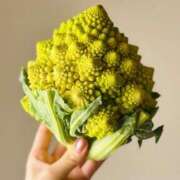 ヒメ日記 2026/03/16 07:04 投稿 ユキネ バニーコレクション秋田店