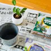 ヒメ日記 2026/03/17 07:07 投稿 ユキネ バニーコレクション秋田店