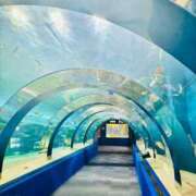 ヒメ日記 2026/03/26 07:07 投稿 ユキネ バニーコレクション秋田店