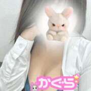 ヒメ日記 2025/02/17 10:05 投稿 伊集院 かぐら 夜這い＆イメクラ 妄想する女学生たち 難波校