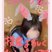 ヒメ日記 2025/10/30 23:05 投稿 ゆず しゃんぜりぜ