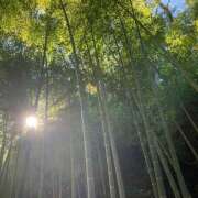 ヒメ日記 2025/01/28 08:10 投稿 さゆり グッドワイフ