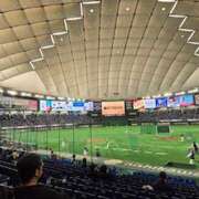 ヒメ日記 2025/05/16 14:48 投稿 さゆり グッドワイフ