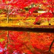 ヒメ日記 2025/09/24 01:18 投稿 さゆり グッドワイフ