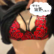 ヒメ日記 2025/02/27 18:59 投稿 ゆあ ギャルズネットワーク大阪