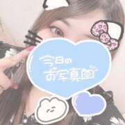 ヒメ日記 2025/07/13 13:37 投稿 りぜ 群馬伊勢崎ちゃんこ