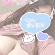 ヒメ日記 2025/08/22 17:57 投稿 りぜ 群馬伊勢崎ちゃんこ