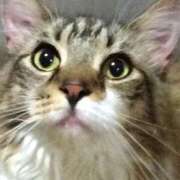 ヒメ日記 2024/12/23 10:37 投稿 じゅり 脱がされたい人妻 厚木店