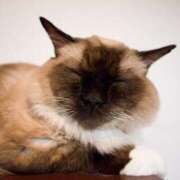 ヒメ日記 2024/12/26 16:26 投稿 じゅり 脱がされたい人妻 厚木店