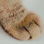 ヒメ日記 2025/01/13 10:04 投稿 じゅり 脱がされたい人妻 厚木店