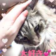 ヒメ日記 2025/02/18 11:01 投稿 じゅり 脱がされたい人妻 厚木店