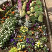 ヒメ日記 2025/03/15 13:15 投稿 じゅり 脱がされたい人妻 厚木店