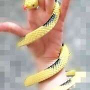 ヒメ日記 2025/03/24 11:30 投稿 じゅり 脱がされたい人妻 厚木店