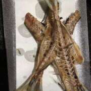 ヒメ日記 2025/04/18 13:01 投稿 じゅり 脱がされたい人妻 厚木店