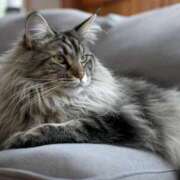 ヒメ日記 2025/06/03 21:00 投稿 じゅり 脱がされたい人妻 厚木店