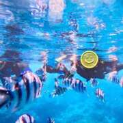 ヒメ日記 2025/09/16 13:45 投稿 じゅり 脱がされたい人妻 厚木店