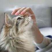 ヒメ日記 2025/09/25 16:34 投稿 じゅり 脱がされたい人妻 厚木店