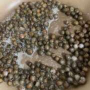 じゅり むかごを食べてみた 脱がされたい人妻 厚木店