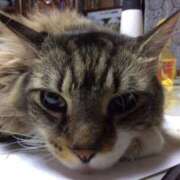 ヒメ日記 2026/02/07 09:45 投稿 じゅり 脱がされたい人妻 厚木店