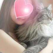 ヒメ日記 2026/03/12 14:11 投稿 じゅり 脱がされたい人妻 厚木店