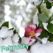 ヒメ日記 2025/02/01 18:59 投稿 風岡あゆみ(かぜおかあゆみ) 九州熟女　熊本店