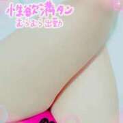 ヒメ日記 2025/02/13 19:50 投稿 風岡あゆみ(かぜおかあゆみ) 九州熟女　熊本店