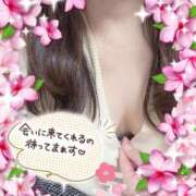 ヒメ日記 2025/03/14 10:39 投稿 風岡あゆみ(かぜおかあゆみ) 九州熟女　熊本店