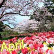 ヒメ日記 2025/04/01 19:19 投稿 風岡あゆみ(かぜおかあゆみ) 九州熟女　熊本店