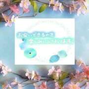 ヒメ日記 2025/04/10 17:29 投稿 風岡あゆみ(かぜおかあゆみ) 九州熟女　熊本店