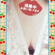 ヒメ日記 2025/04/27 17:32 投稿 風岡あゆみ(かぜおかあゆみ) 九州熟女　熊本店