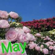 ヒメ日記 2025/05/01 20:09 投稿 風岡あゆみ(かぜおかあゆみ) 九州熟女　熊本店