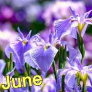 ヒメ日記 2025/06/01 17:19 投稿 風岡あゆみ(かぜおかあゆみ) 九州熟女　熊本店