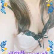 ヒメ日記 2025/06/19 15:09 投稿 風岡あゆみ(かぜおかあゆみ) 九州熟女　熊本店