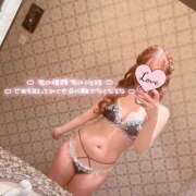 ヒメ日記 2025/03/15 11:54 投稿 井ノ元 新宿人妻城