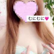 ヒメ日記 2025/03/15 13:55 投稿 井ノ元 新宿人妻城