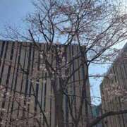 ヒメ日記 2026/03/22 09:39 投稿 しほ 池袋人妻アデージョ