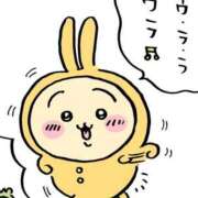 ヒメ日記 2024/12/20 03:14 投稿 まこ 池袋ぱんぷきん（シンデレラグループ）