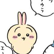 ヒメ日記 2024/12/21 07:03 投稿 まこ 池袋ぱんぷきん（シンデレラグループ）