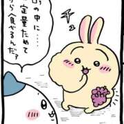 ヒメ日記 2025/01/15 18:32 投稿 まこ 池袋ぱんぷきん（シンデレラグループ）