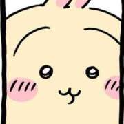 ヒメ日記 2025/03/26 14:16 投稿 まこ 池袋ぱんぷきん（シンデレラグループ）