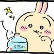 ヒメ日記 2025/04/15 00:01 投稿 まこ 池袋ぱんぷきん（シンデレラグループ）