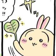 ヒメ日記 2025/04/16 23:46 投稿 まこ 池袋ぱんぷきん（シンデレラグループ）