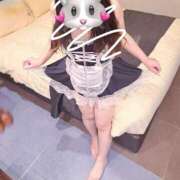 ヒメ日記 2025/09/26 08:01 投稿 まこ 池袋ぱんぷきん（シンデレラグループ）