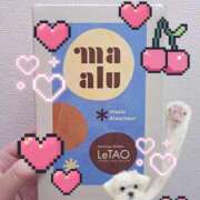 ヒメ日記 2025/09/29 15:21 投稿 まこ 池袋ぱんぷきん（シンデレラグループ）