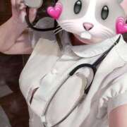 ヒメ日記 2025/11/18 08:25 投稿 まこ 池袋ぱんぷきん（シンデレラグループ）