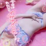 ヒメ日記 2025/11/30 10:02 投稿 ゆりあ ロイヤル土佐