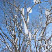 ヒメ日記 2025/01/06 13:06 投稿 ゆきの 性腺熟女100％（デリヘル市場）