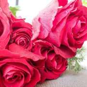 ヒメ日記 2025/02/16 02:26 投稿 ゆきの 性腺熟女100％（デリヘル市場）